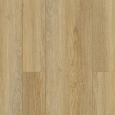SolidTech Essentials|Discovery Ridge