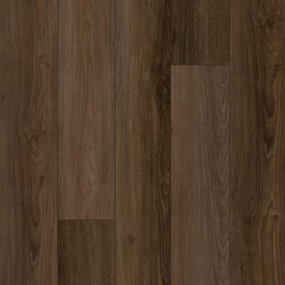 SolidTech Essentials|Discovery Ridge  Add to Favorites