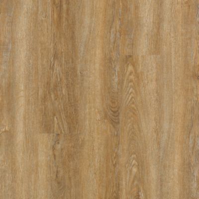 SolidTech Essentials|Discovery Ridge  Add to Favorites