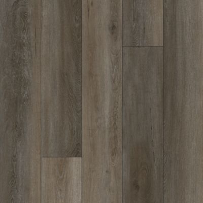 SolidTech Essentials|Discovery Ridge