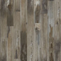 SolidTech Select|Explorer's Cove