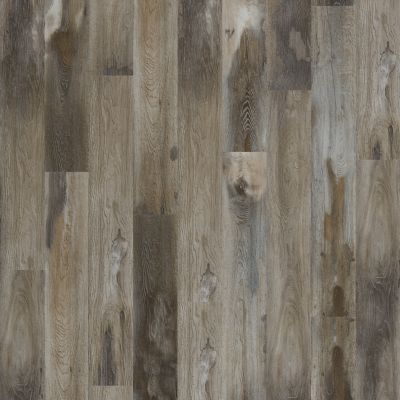 SolidTech Select|Explorer's Cove  Add to Favorites