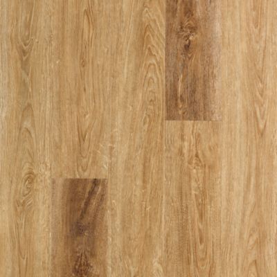 SolidTech Select|Explorer's Cove  Add to Favorites