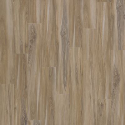 SolidTech Select|Explorer's Cove  Add to Favorites
