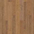 SolidTech Select|Explorer's Cove  Add to Favorites