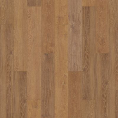 SolidTech Select|Explorer's Cove  Add to Favorites