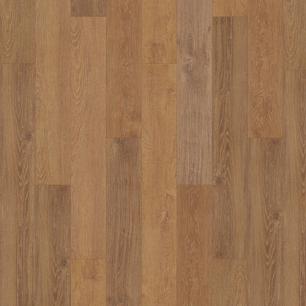 SolidTech Select|Explorer's Cove  Add to Favorites