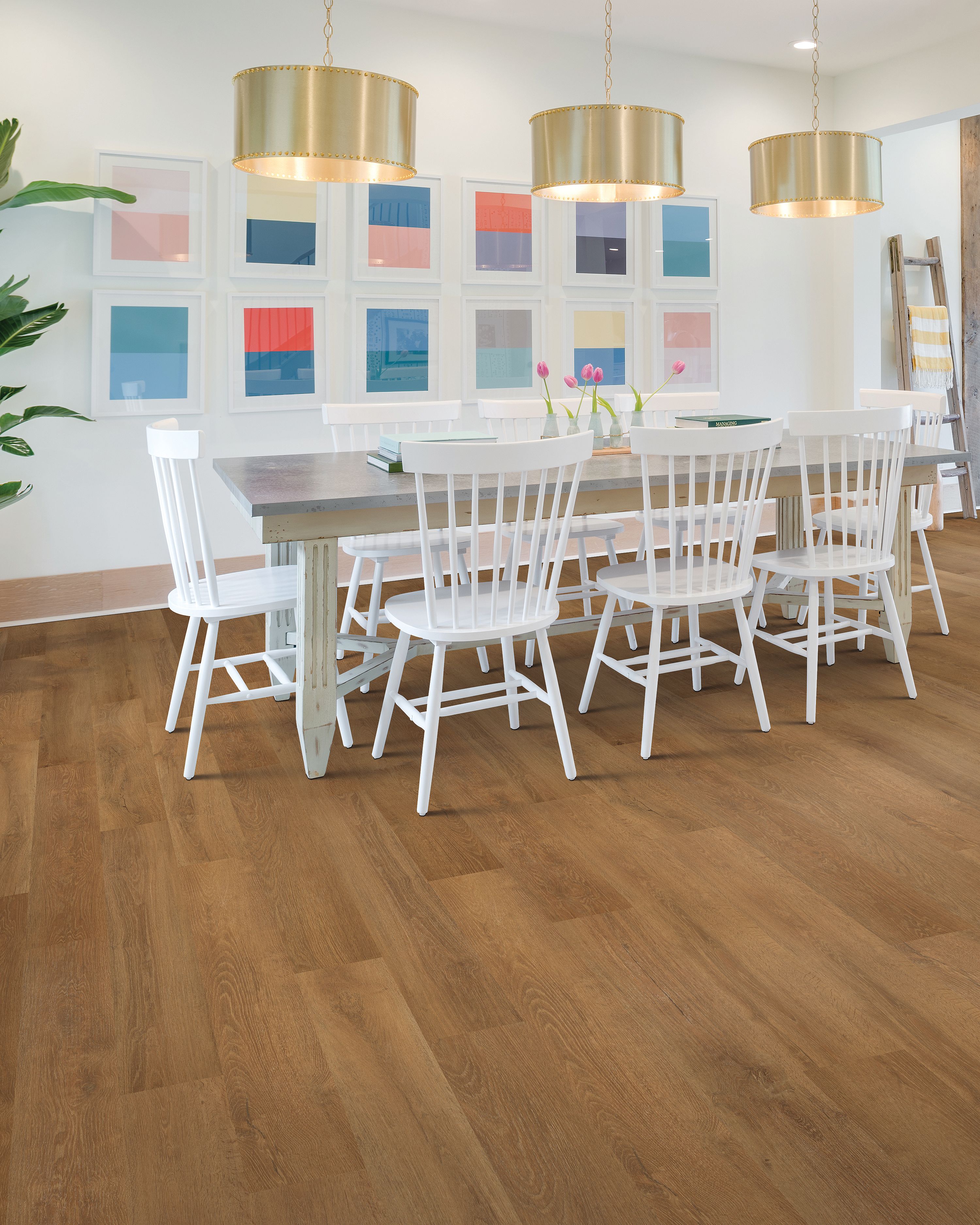 SolidTech Select|Explorer's Cove  Add to Favorites