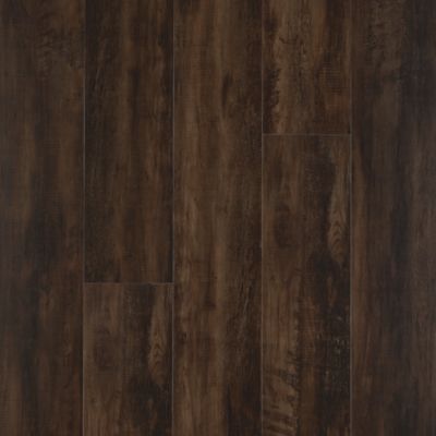 SolidTech Select|Explorer's Cove