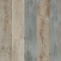 SolidTech Select|Explorer's Cove  Add to Favorites