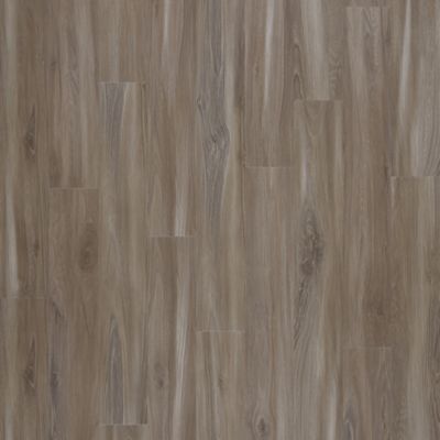 SolidTech Select|Explorer's Cove