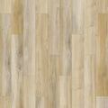 SolidTech Select|Founder's Trace