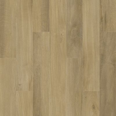 SolidTech Essentials|Boxwood Gables  Add to Favorites