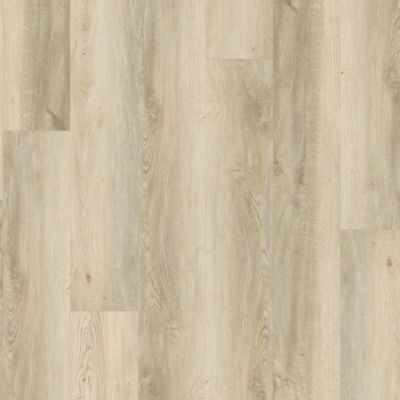 SolidTech Essentials|Boxwood Gables