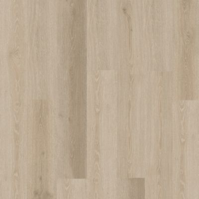 SolidTech Essentials|Boxwood Gables