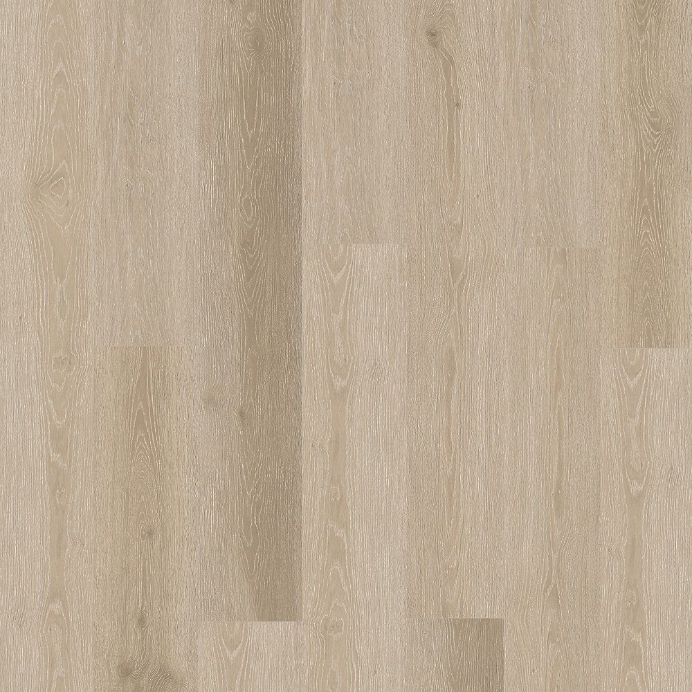 SolidTech Essentials|Boxwood Gables