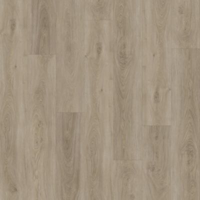 SolidTech Essentials|Boxwood Gables