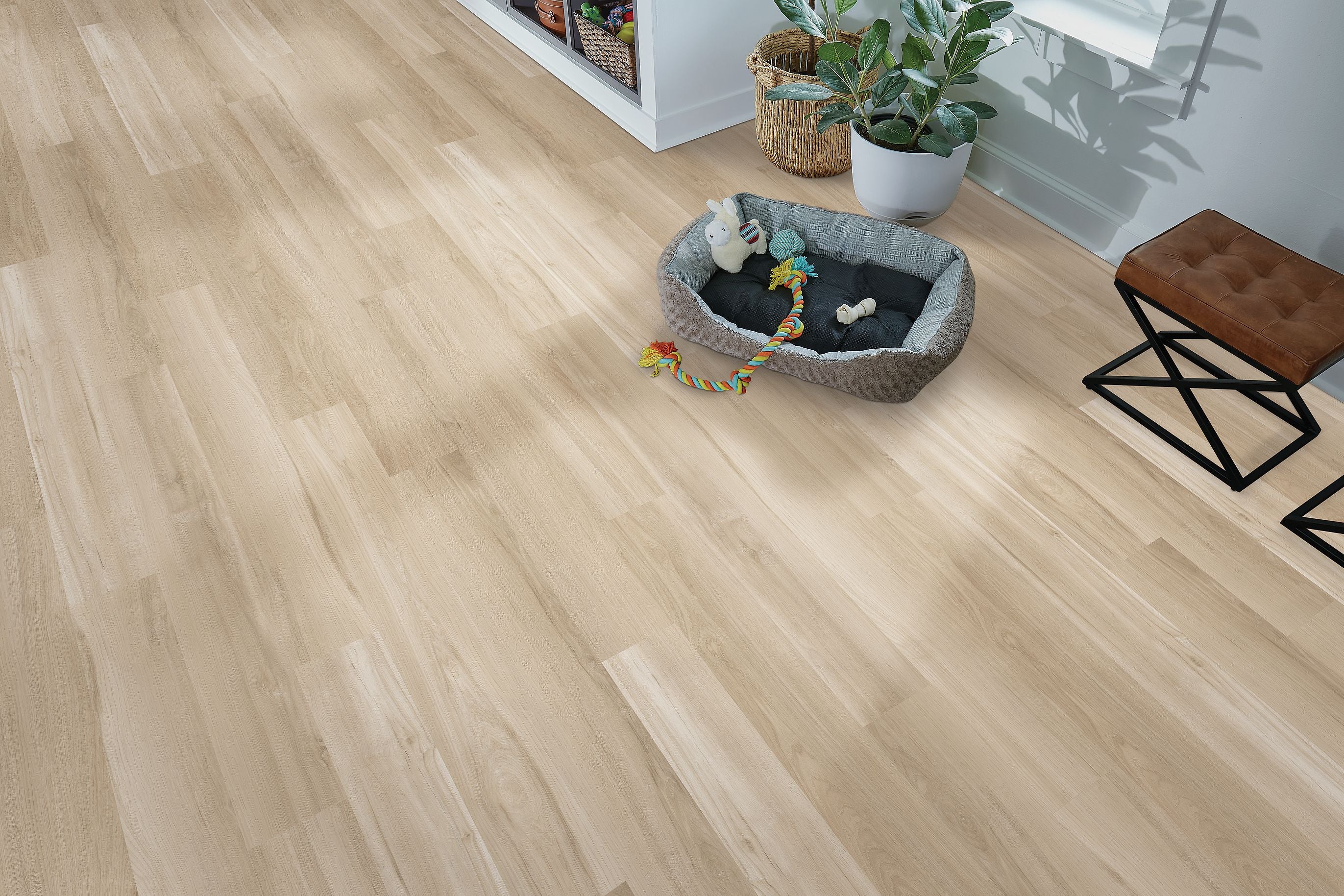 SolidTech Essentials|Arbor Terrace  Add to Favorites