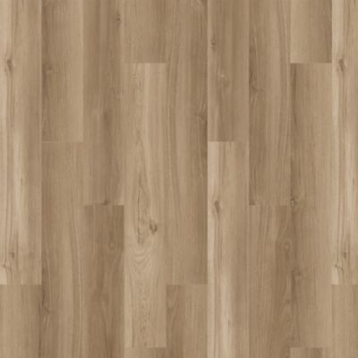 SolidTech Essentials|Arbor Terrace  Add to Favorites