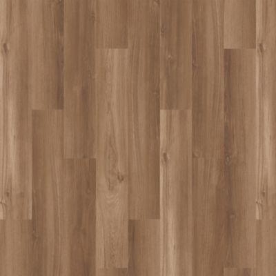 SolidTech Essentials|Arbor Terrace  Add to Favorites