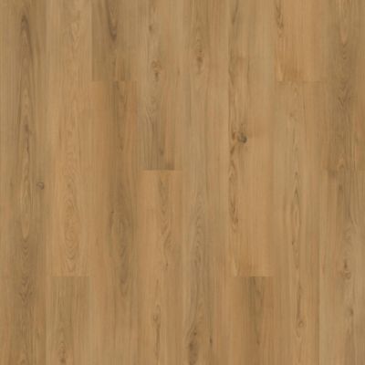 SolidTech Plus|Barker Hollow  Add to Favorites