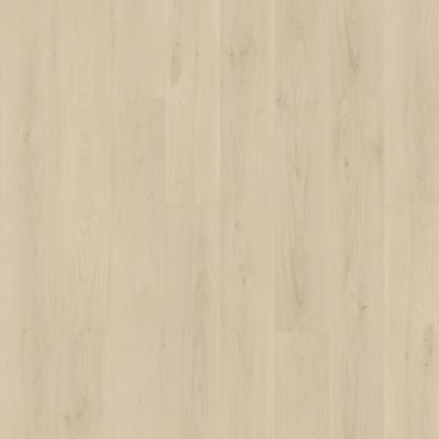 SolidTech Plus|Barker Hollow