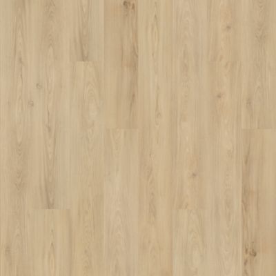 SolidTech Plus|Barker Hollow  Add to Favorites