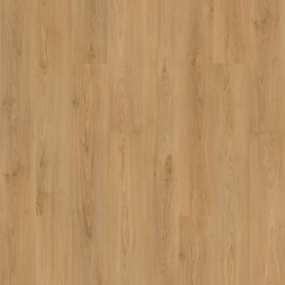 SolidTech Plus|Barker Hollow