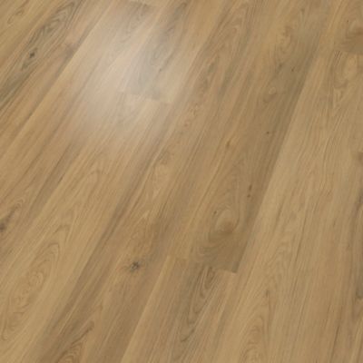 SolidTech Plus|Barker Hollow  Add to Favorites