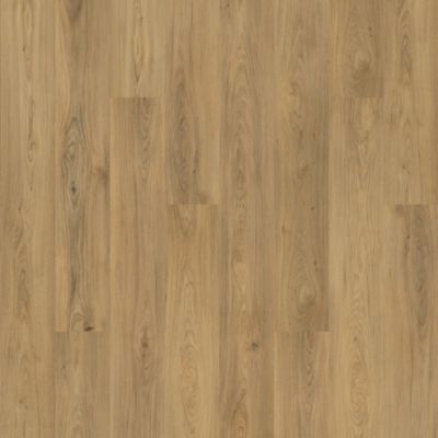 SolidTech Plus|Barker Hollow