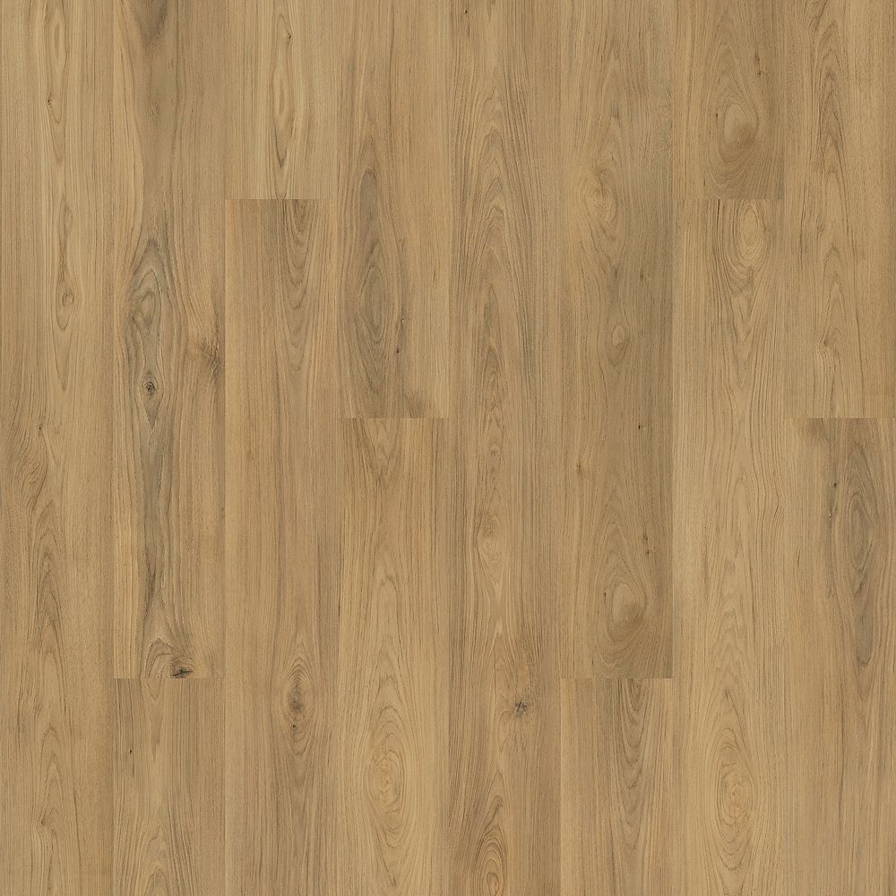 SolidTech Plus|Barker Hollow  Add to Favorites