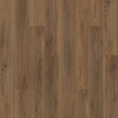 SolidTech Plus|Barker Hollow  Add to Favorites