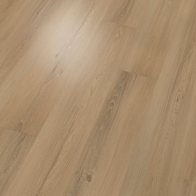 SolidTech Plus|Eastbrook Shoals  Add to Favorites