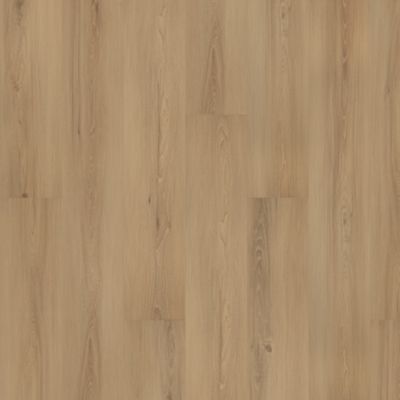 SolidTech Plus|Eastbrook Shoals