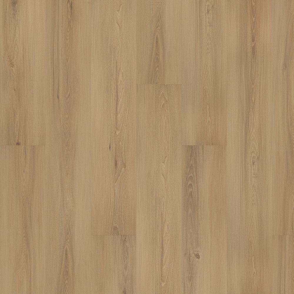 SolidTech Plus|Eastbrook Shoals  Add to Favorites