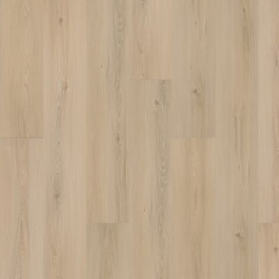 SolidTech Plus|Eastbrook Shoals