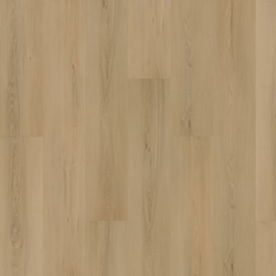 SolidTech Plus|Eastbrook Shoals