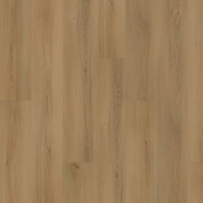 SolidTech Plus|Eastbrook Shoals