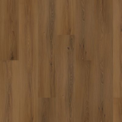 SolidTech Plus|Eastbrook Shoals