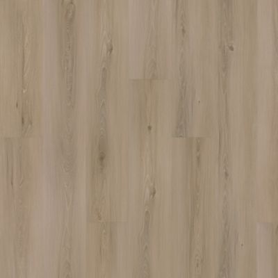 SolidTech Plus|Eastbrook Shoals