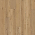 SolidTech Plus|Poppy Reserve  Add to Favorites