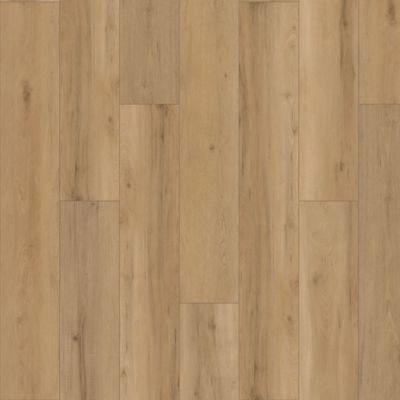 SolidTech Plus|Poppy Reserve  Add to Favorites
