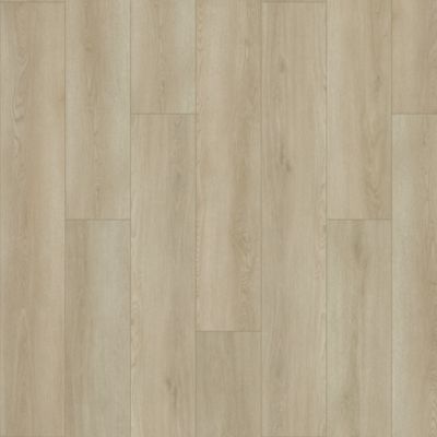 SolidTech Plus|Amber Escape
