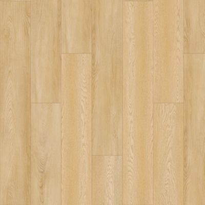 SolidTech Plus|Amber Escape