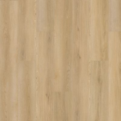 SolidTech Plus|Amber Escape
