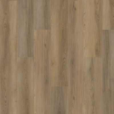 SolidTech Plus|Amber Escape