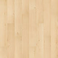 SolidTech R Select|Ashland Crest