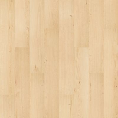 SolidTech R Select|Ashland Crest  Add to Favorites