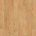 SolidTech R Select|Ashland Crest