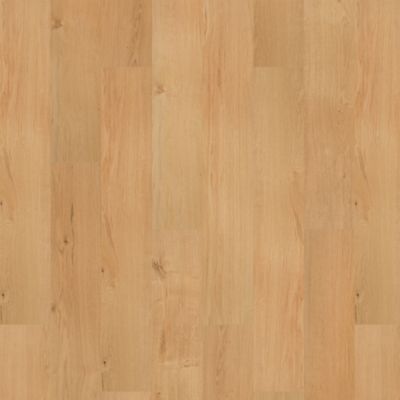 SolidTech R Select|Ashland Crest  Add to Favorites